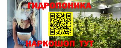 гашик Дубна