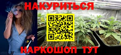 гашик Дубна