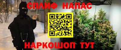 гашик Дубна
