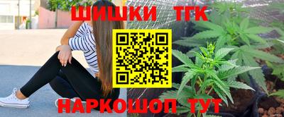 гашик Дубна