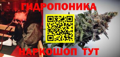 гашик Дубна