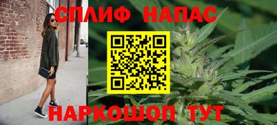 мдпв Жуковский